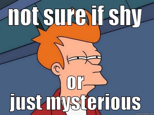 NOT SURE IF SHY OR JUST MYSTERIOUS Futurama Fry