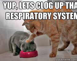 Yup, Lets clog up that Respiratory System  respiratory system