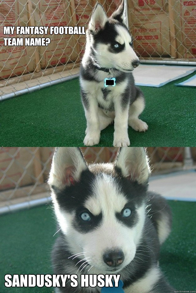 My fantasy football
team name? Sandusky's Husky  Insanity puppy