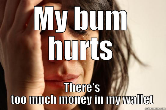 MY BUM HURTS THERE'S TOO MUCH MONEY IN MY WALLET First World Problems