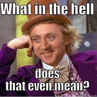 WHAT IN THE HELL  DOES THAT EVEN MEAN? Creepy Wonka