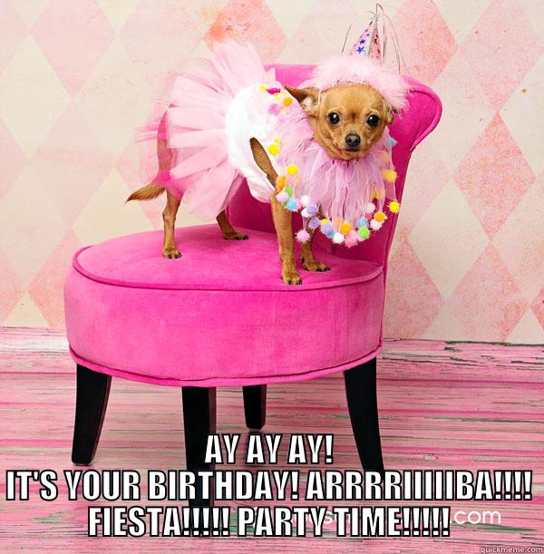 Chi chi chihuahua -  AY AY AY! IT'S YOUR BIRTHDAY! ARRRRIIIIIBA!!!! FIESTA!!!!! PARTY TIME!!!!! Misc
