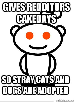 Gives Redditors Cakedays so stray cats and dogs are adopted - Gives Redditors Cakedays so stray cats and dogs are adopted  GGR Good Guy Reddit