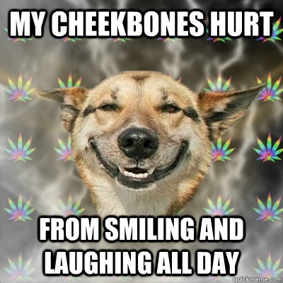 My Cheekbones Hurt From smiling and laughing all day  Stoner Dog