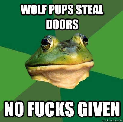 Wolf pups steal doors no fucks given  Foul Bachelor Frog