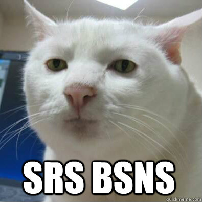  SRS BSNS  Serious Cat