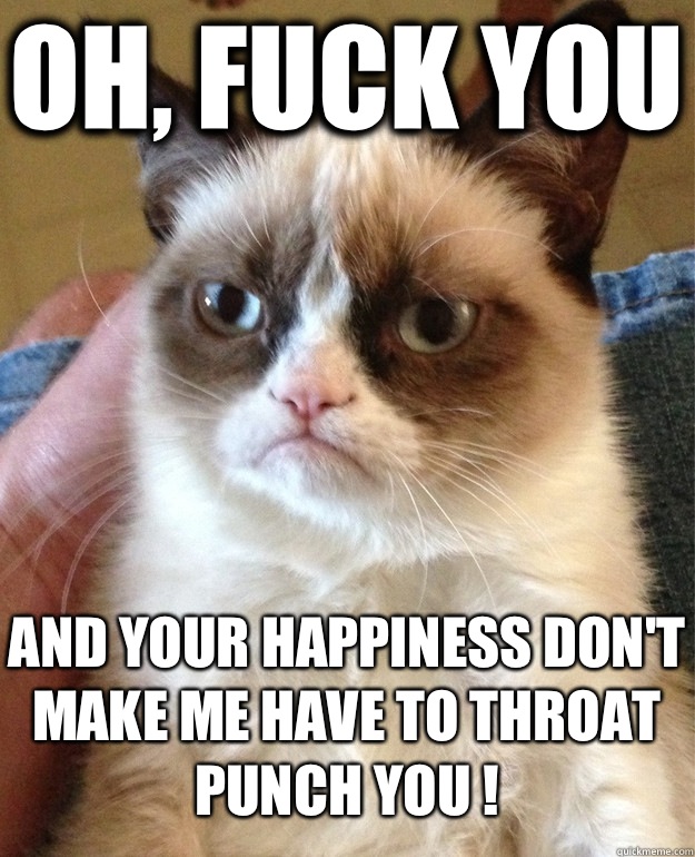 oh, fuck you and your happiness don't make me have to throat punch you !   Grumpy Cat