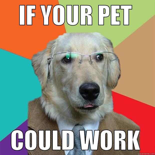 IF YOUR PET COULD WORK Business Dog