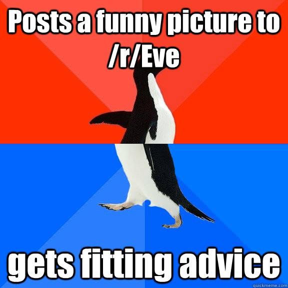 Posts a funny picture to /r/Eve gets fitting advice  Socially Awesome Awkward Penguin