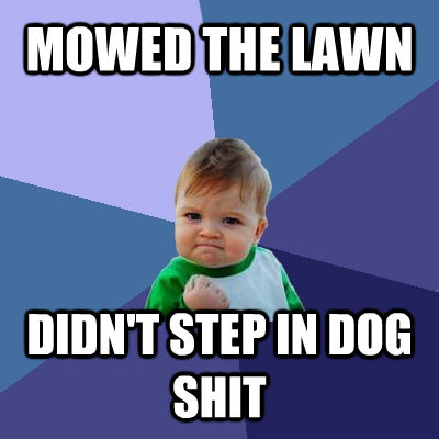 MOWED THE LAWN DIDN'T STEP IN DOG SHIT  Success Kid