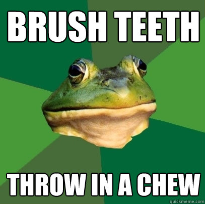 Brush Teeth Throw in a chew  Foul Bachelor Frog