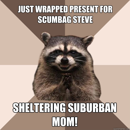 just wrapped present for Scumbag steve sheltering suburban mom!  Evil Plotting Raccoon