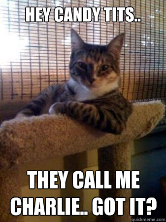 HEY CANDY TITS.. THEY CALL ME CHARLIE.. GOT IT?  The Most Interesting Cat in the World