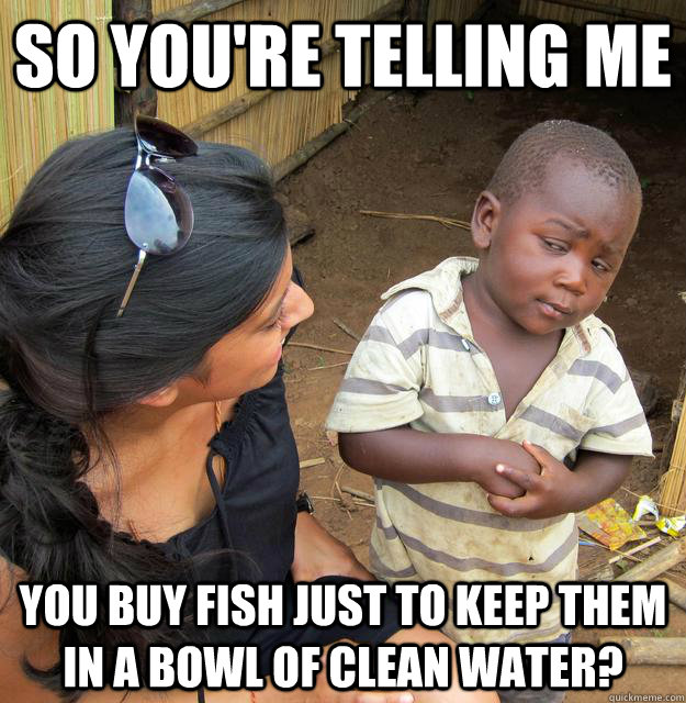 SO YOU'RE TELLING ME You buy fish just to keep them in a bowl of clean water?  Sceptical 3rd world child
