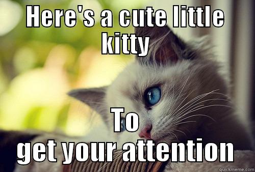 HERE'S A CUTE LITTLE KITTY TO GET YOUR ATTENTION First World Problems Cat
