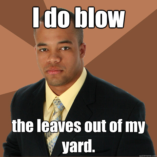 I do blow the leaves out of my yard.  Successful Black Man