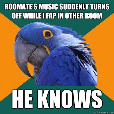 roomate's music suddenly turns off while i fap in other room he knows  Paranoid Parrot