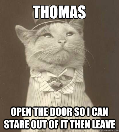 Thomas open the door so I can stare out of it then leave  Aristocat