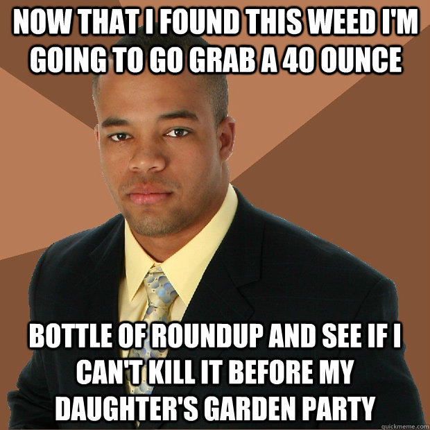 Now that I found this weed I'm going to go grab a 40 ounce bottle of roundup and see if I can't kill it before my daughter's garden party - Now that I found this weed I'm going to go grab a 40 ounce bottle of roundup and see if I can't kill it before my daughter's garden party  Successful Black Man