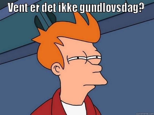 VENT ER DET IKKE GUNDLOVSDAG?  Futurama Fry