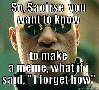 SO, SAOIRSE  YOU WANT TO KNOW TO MAKE A MEME, WHAT IF I SAID, 