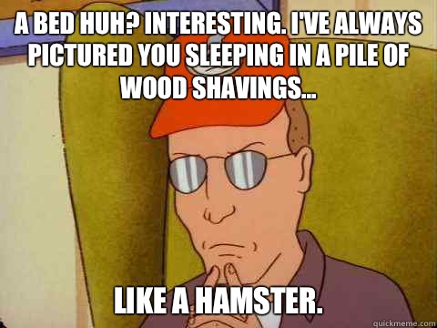 A bed huh? Interesting. I've always pictured you sleeping in a pile of wood shavings... like a hamster.  Dale Gribble
