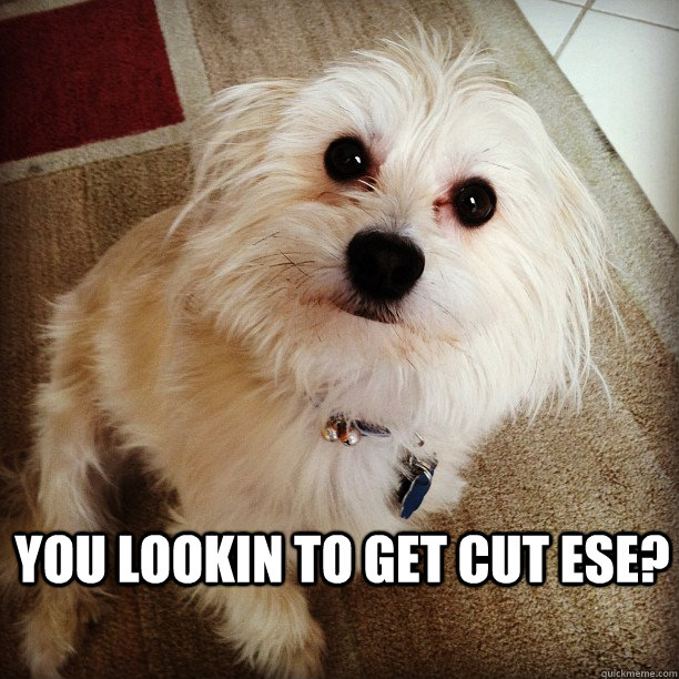 You lookin to get cut ese? - You lookin to get cut ese?  benny