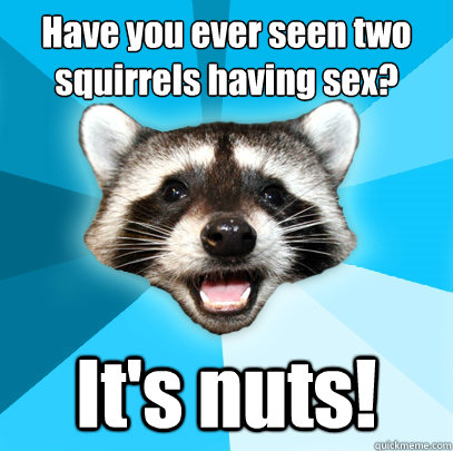 Have you ever seen two squirrels having sex?
 It's nuts!  Lame Pun Coon