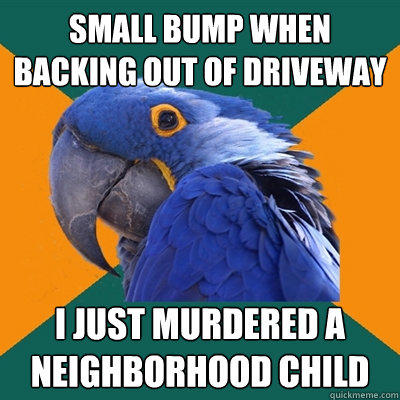 SMALL BUMP WHEN BACKING OUT OF DRIVEWAY I JUST MURDERED A NEIGHBORHOOD CHILD  