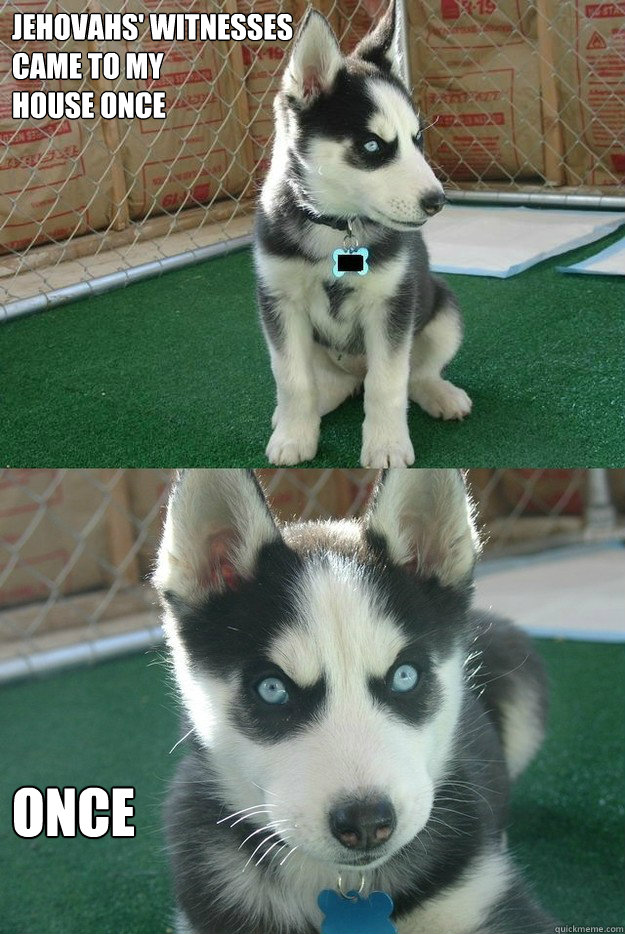 Jehovahs' witnesses 
came to my 
house once once  Insanity puppy