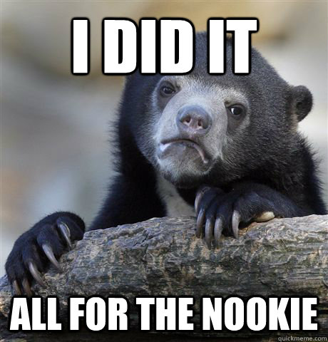 I did it All for the nookie  Confession Bear