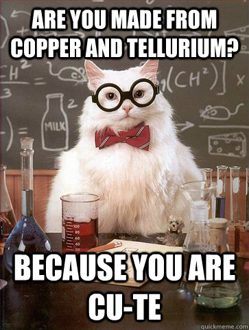 Are you made from Copper and Tellurium? Because you are CU-TE  Science Cat