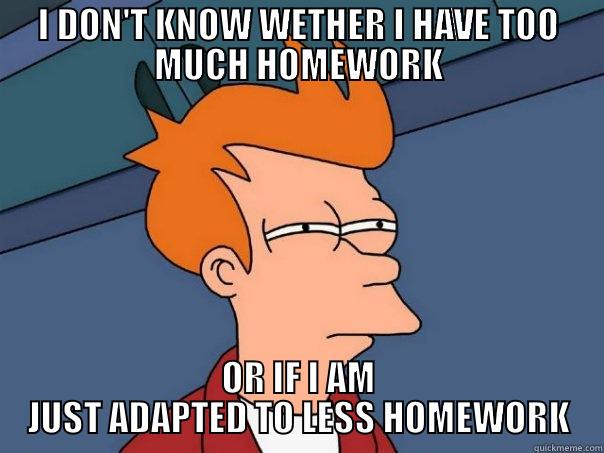 I DON'T KNOW WETHER I HAVE TOO MUCH HOMEWORK OR IF I AM JUST ADAPTED TO LESS HOMEWORK Futurama Fry
