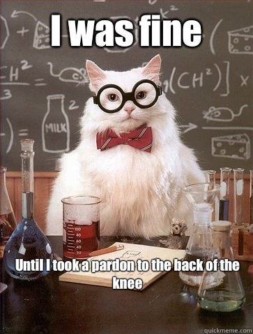 I was fine  Until I took a pardon to the back of the knee  Chemistry Cat