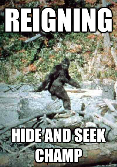 Reigning Hide and seek champ - Reigning Hide and seek champ  Simple Sasquatch