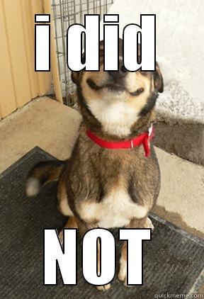 I DID NOT Good Dog Greg