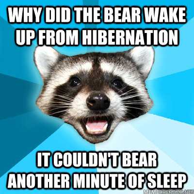 Why did the bear wake up from hibernation it couldn't bear another minute of sleep  Caption 4 goes here  Lame Pun Raccoon