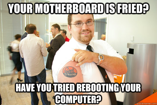 Your Motherboard is fried? Have you tried rebooting your computer?  GeekSquad Gus