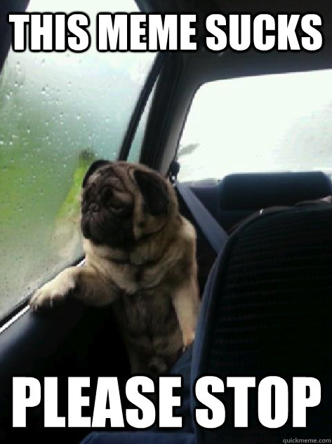this meme sucks please stop  Introspective Pug