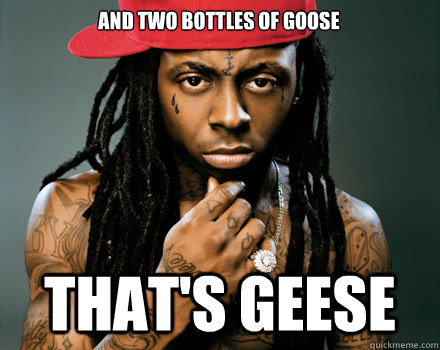 and two bottles of goose that's geese - and two bottles of goose that's geese  Scumbag Lil Wayne