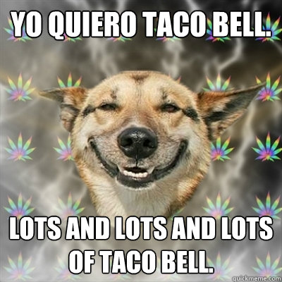 Yo quiero taco bell. Lots and lots and lots of taco bell. - Yo quiero taco bell. Lots and lots and lots of taco bell.  Stoner Dog