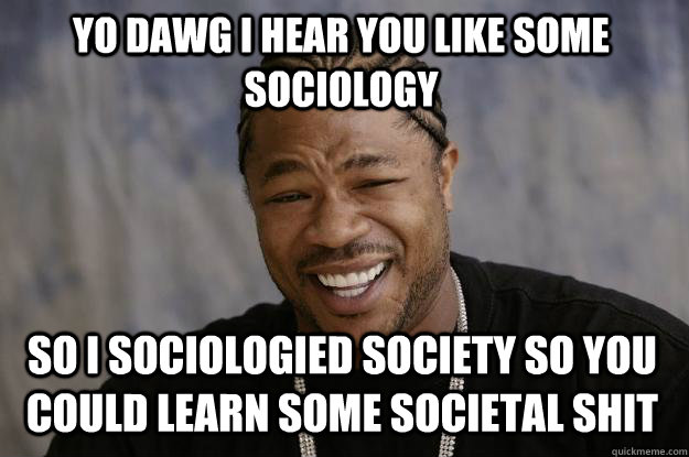 YO DAWG I HEAR YOU Like some sociology so i sociologied society so you could learn some societal shit  Xzibit meme