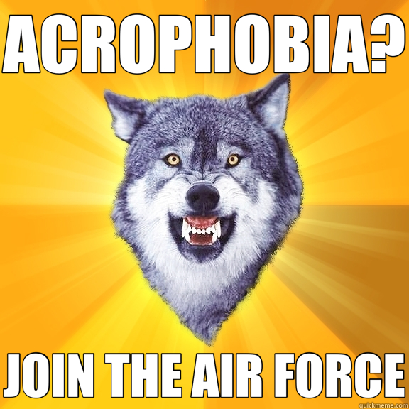 ACROPHOBIA? JOIN THE AIR FORCE  Courage Wolf