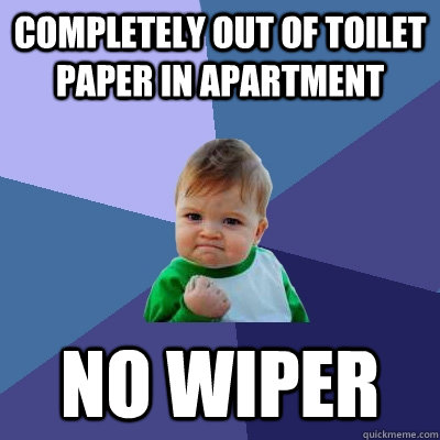 completely out of toilet paper in apartment no wiper  Success Kid