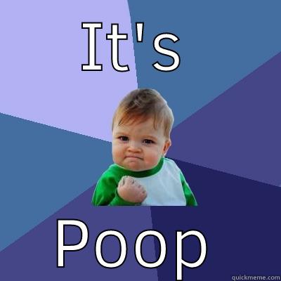 IT'S POOP Success Kid