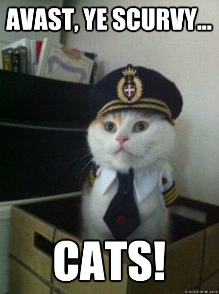 Avast, ye scurvy... cats!  Captain kitteh