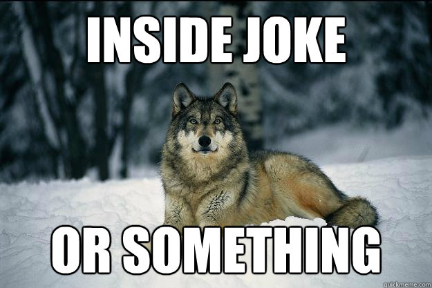 INSIDE JOKE OR SOMETHING  Wolf