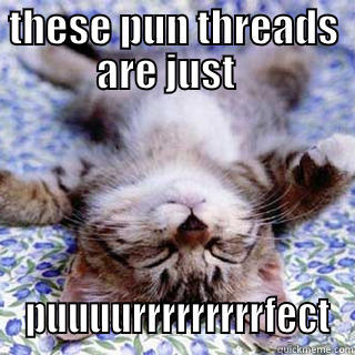 THESE PUN THREADS ARE JUST    PUUUURRRRRRRRRFECT Misc