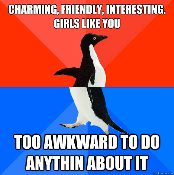 Charming, friendly, interesting. Girls like you Too awkward to do anythin about it  Socially Awesome Awkward Penguin