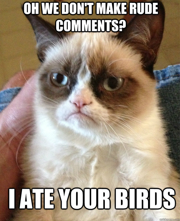 Oh we don't make rude comments? i ate your birds  Grumpy Cat